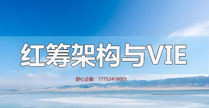 跨境電商ODI備案路徑：VIE架構(gòu)與直接投資的優(yōu)劣對比